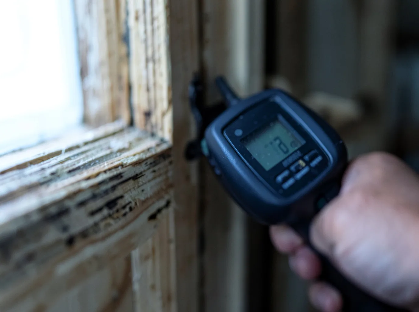Moisture Inspection And Documentation in Wayzata, MN